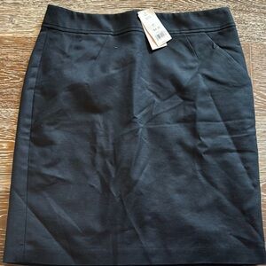 BR Classic Black Women's Skirt